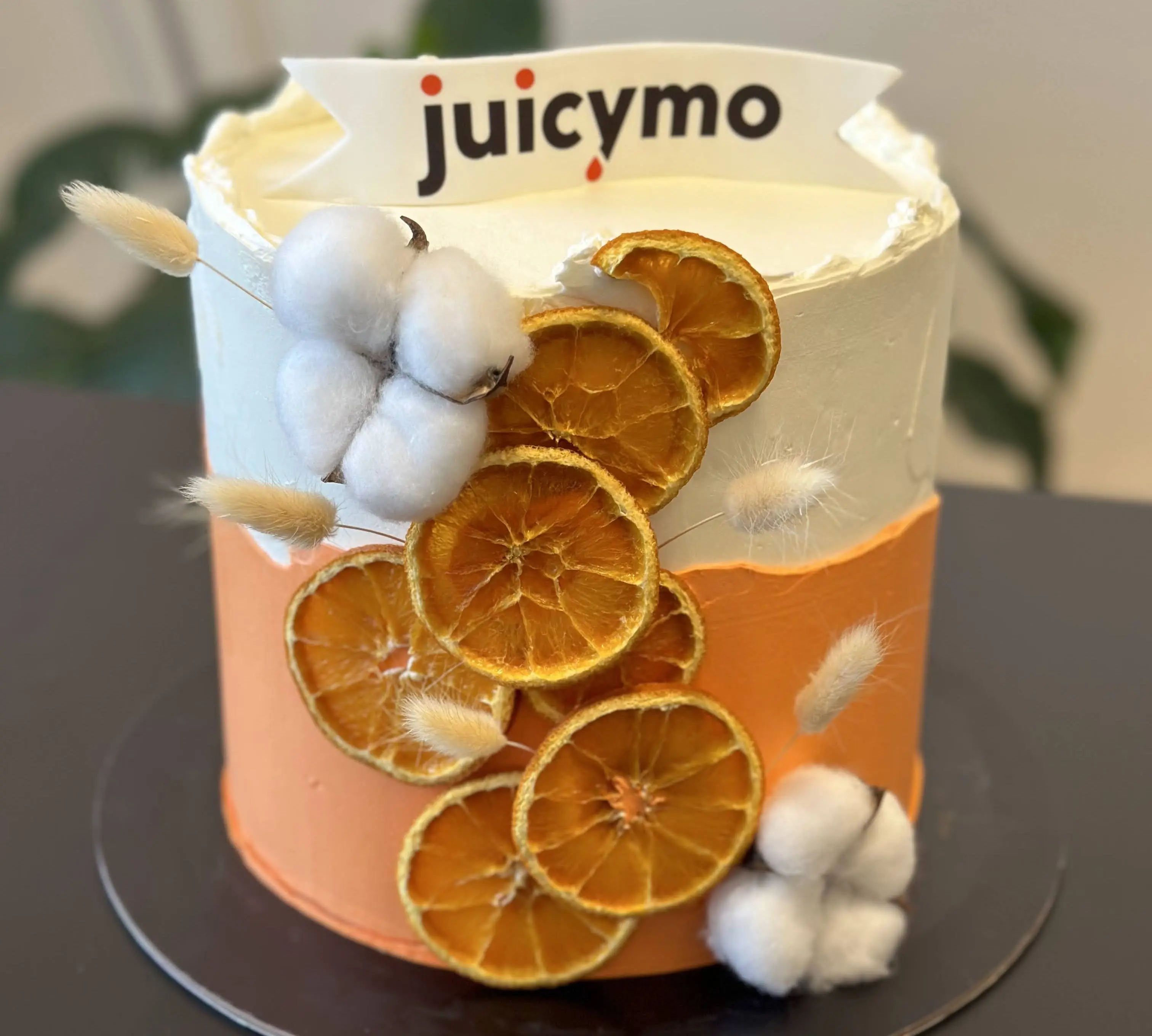 Dvanáct let Juicyma